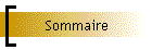 Sommaire